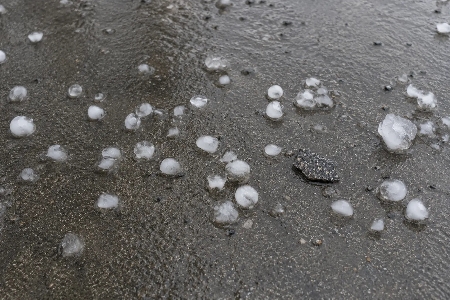 Hailstones and loose shingle granules on a wet concrete driveway after a storm